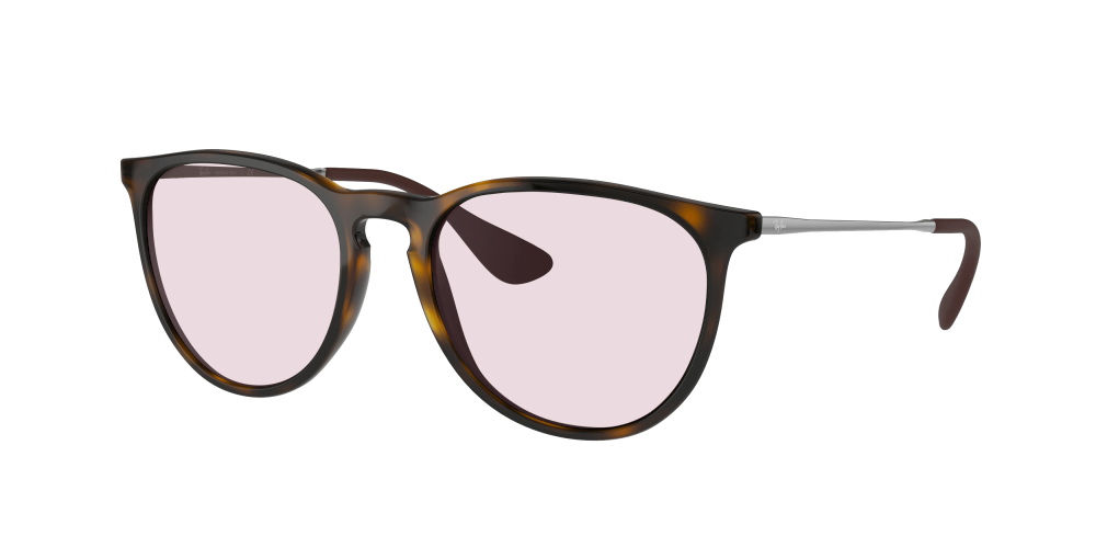 Ray Ban RB4171 710/71 Erika Ray Ban RB4171 710/71 Erika