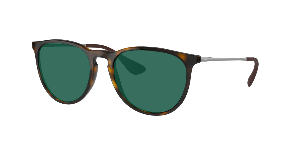 Ray Ban RB4171 710/71 Erika Ray Ban RB4171 710/71 Erika