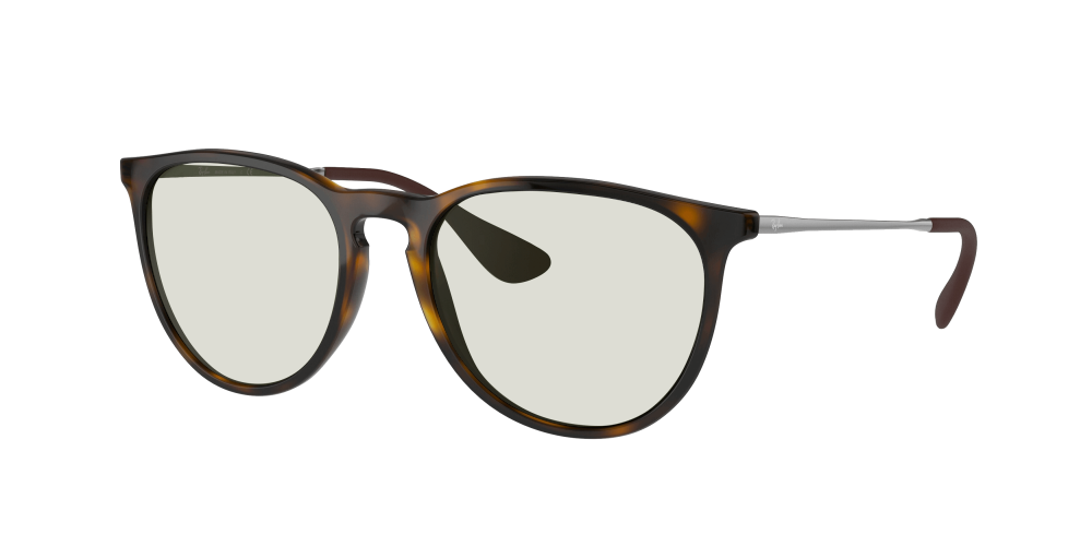 Ray Ban RB4171 710/71 Erika Ray Ban RB4171 710/71 Erika