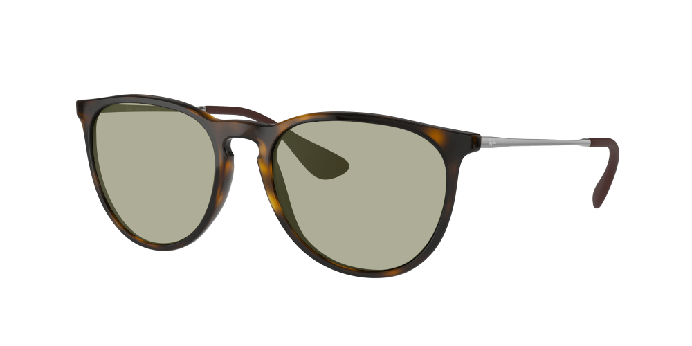 Ray Ban RB4171 710/71 Erika Ray Ban RB4171 710/71 Erika