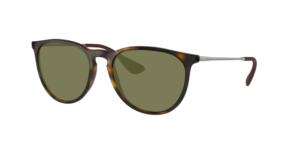 Ray Ban RB4171 710/71 Erika Ray Ban RB4171 710/71 Erika
