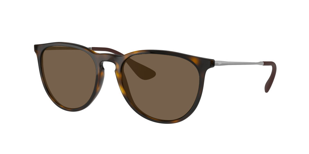 Ray Ban RB4171 710/71 Erika Ray Ban RB4171 710/71 Erika