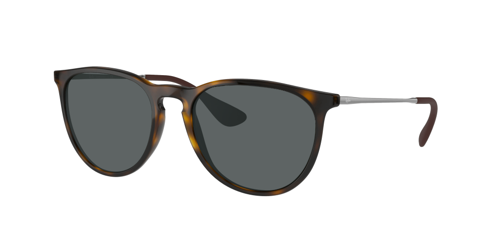Ray Ban RB4171 710/71 Erika Ray Ban RB4171 710/71 Erika