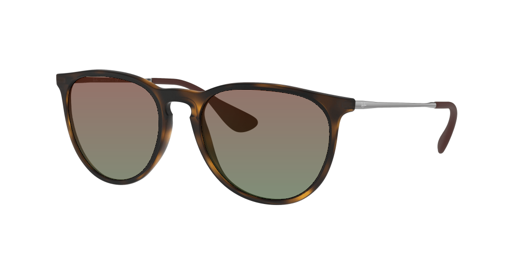 Ray-Ban RB4171 865/13 Erika Ray-Ban RB4171 865/13 Erika