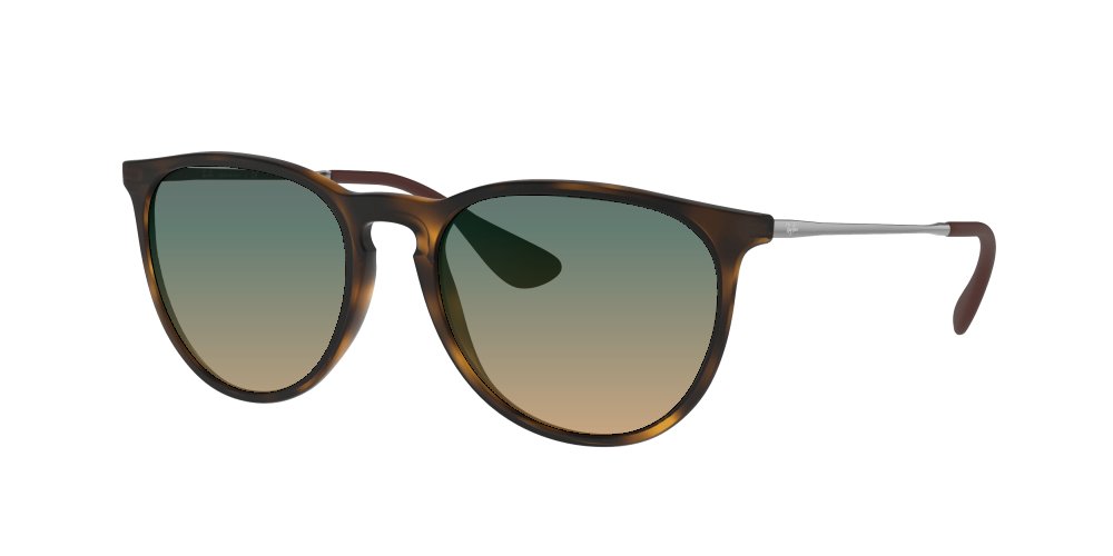Ray Ban RB4171 865/13 Erika Ray Ban RB4171 865/13 Erika