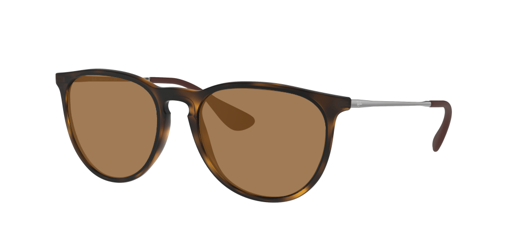 Ray-Ban RB4171 865/13 Erika Ray-Ban RB4171 865/13 Erika