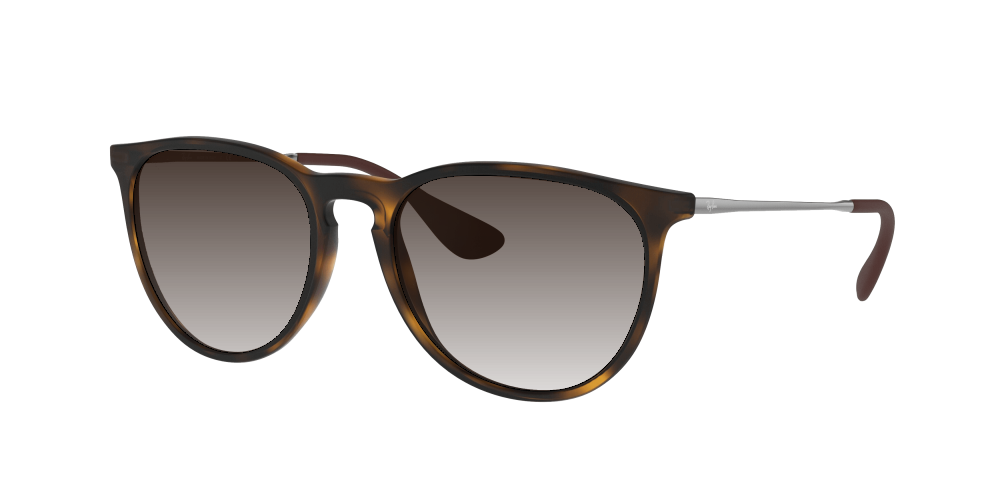 Ray Ban RB4171 865/13 Erika Ray Ban RB4171 865/13 Erika