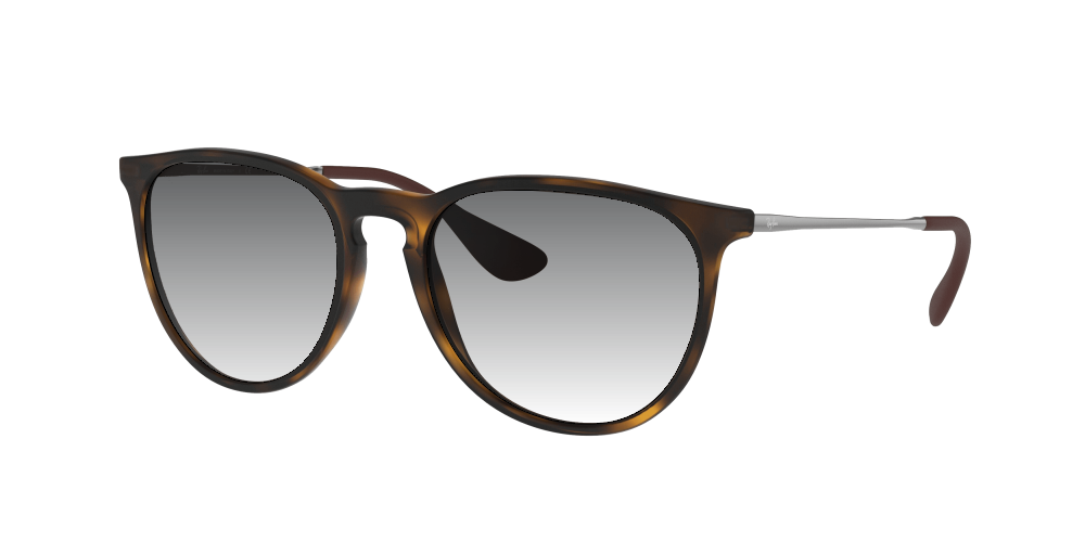 Ray-Ban RB4171 865/13 Erika Ray-Ban RB4171 865/13 Erika