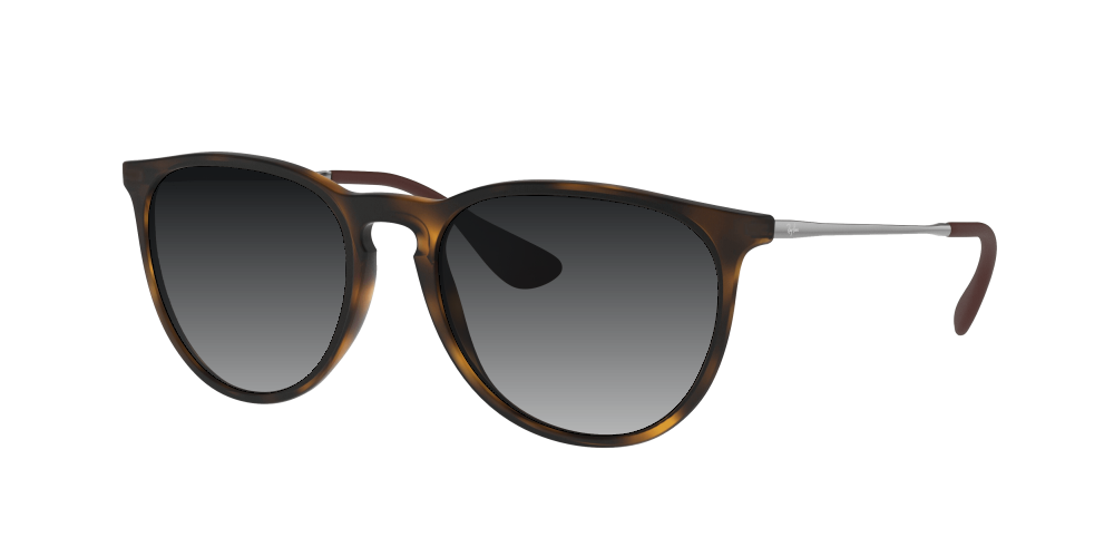 Ray Ban RB4171 865/13 Erika Ray Ban RB4171 865/13 Erika