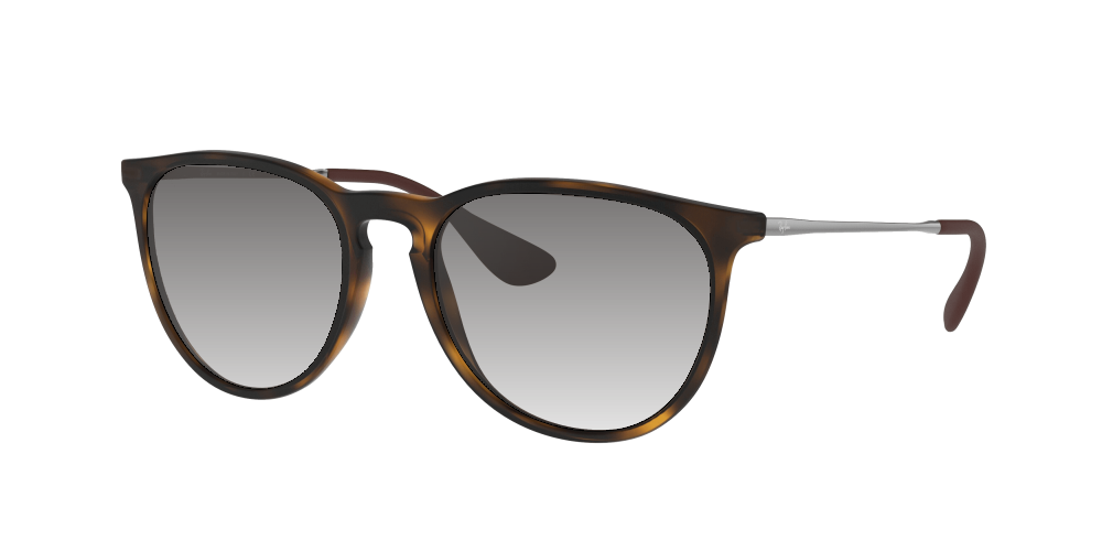 Ray Ban RB4171 865/13 Erika Ray Ban RB4171 865/13 Erika