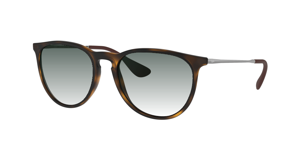 Ray Ban RB4171 865/13 Erika Ray Ban RB4171 865/13 Erika