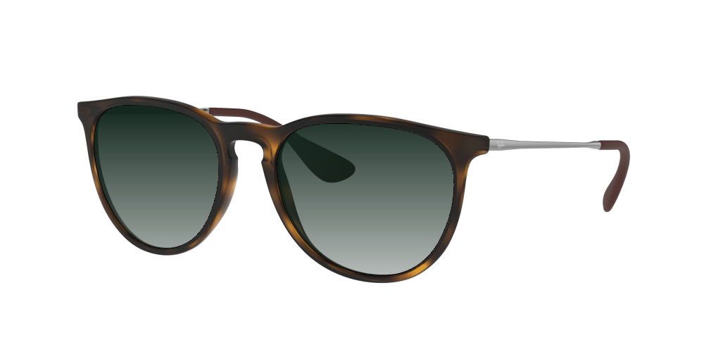Ray Ban RB4171 865/13 Erika Ray Ban RB4171 865/13 Erika
