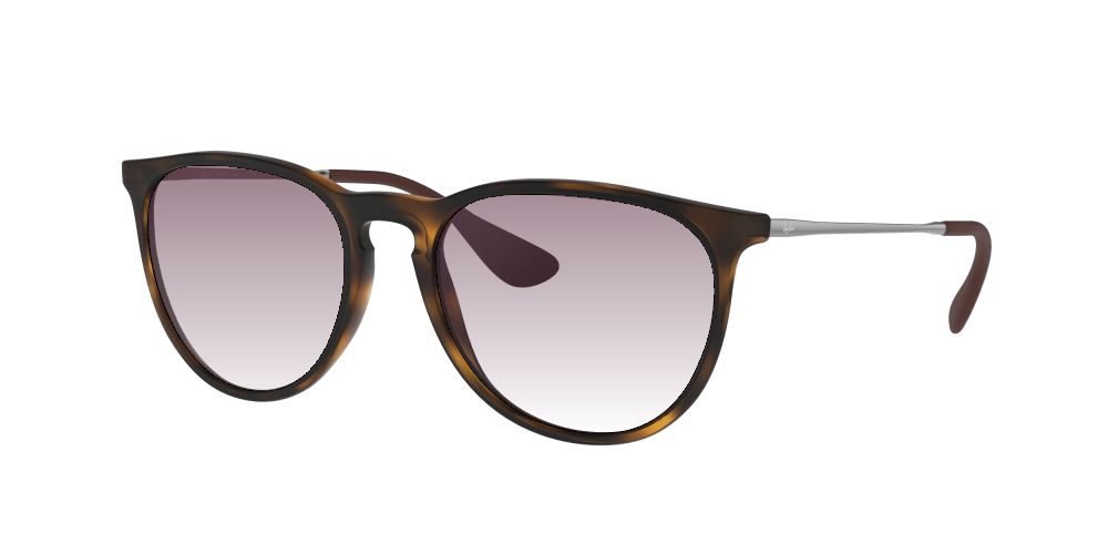 Ray Ban RB4171 865/13 Erika Ray Ban RB4171 865/13 Erika