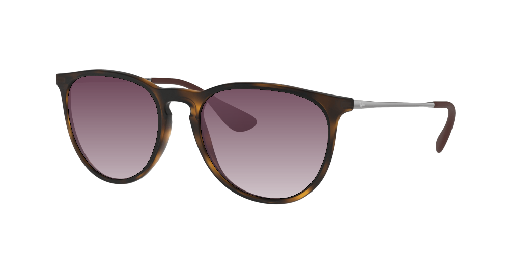 Ray Ban RB4171 865/13 Erika Ray Ban RB4171 865/13 Erika