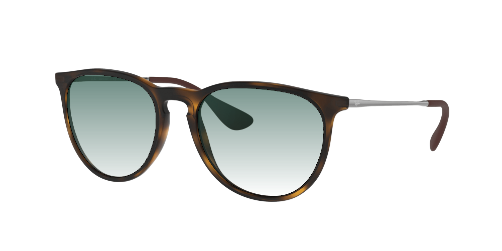 Ray Ban RB4171 865/13 Erika Ray Ban RB4171 865/13 Erika