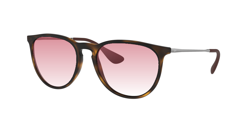 Ray-Ban RB4171 865/13 Erika Ray-Ban RB4171 865/13 Erika