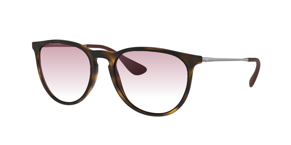 Ray Ban RB4171 865/13 Erika Ray Ban RB4171 865/13 Erika