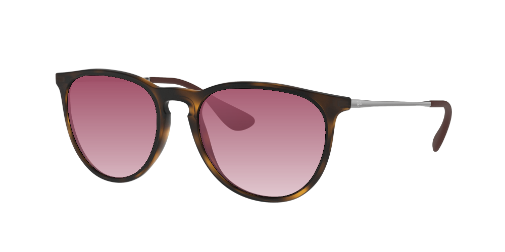Ray Ban RB4171 865/13 Erika Ray Ban RB4171 865/13 Erika