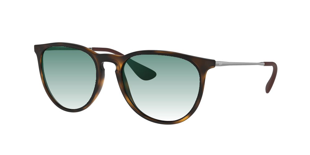 Ray Ban RB4171 865/13 Erika Ray Ban RB4171 865/13 Erika