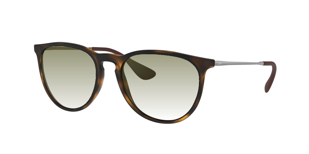 Ray Ban RB4171 865/13 Erika Ray Ban RB4171 865/13 Erika