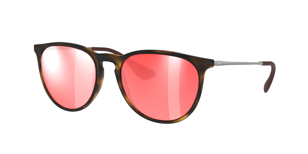 Ray-Ban RB4171 865/13 Erika Ray-Ban RB4171 865/13 Erika