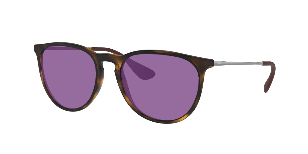 Ray Ban RB4171 865/13 Erika Ray Ban RB4171 865/13 Erika