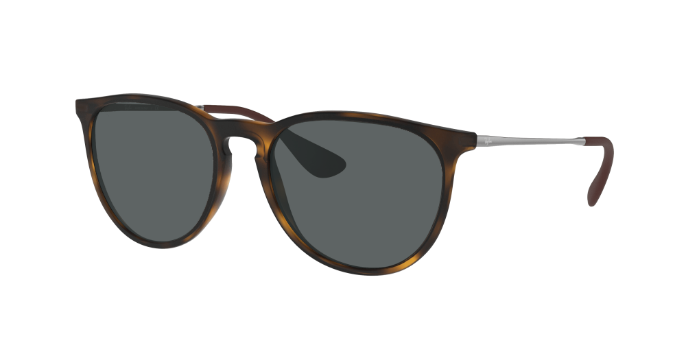 Ray Ban RB4171 865/13 Erika Ray Ban RB4171 865/13 Erika