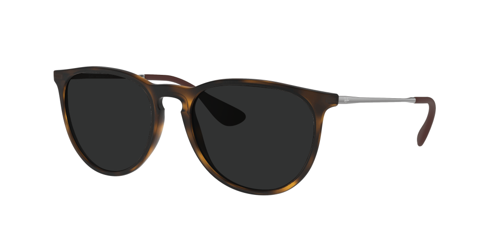 Ray Ban RB4171 865/13 Erika Ray Ban RB4171 865/13 Erika