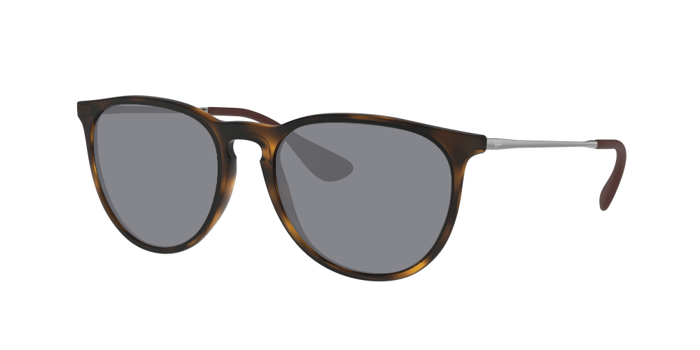 Ray-Ban RB4171 865/13 Erika Ray-Ban RB4171 865/13 Erika