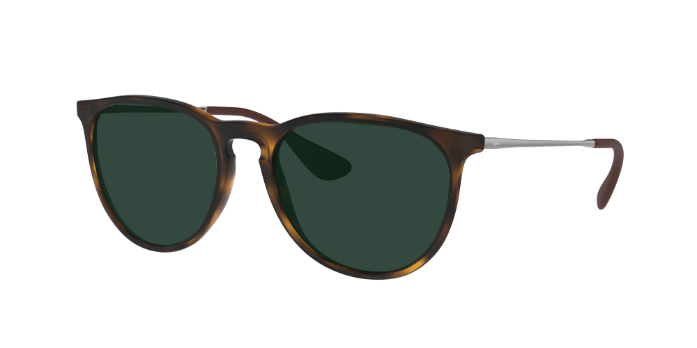 Ray Ban RB4171 865/13 Erika Ray Ban RB4171 865/13 Erika
