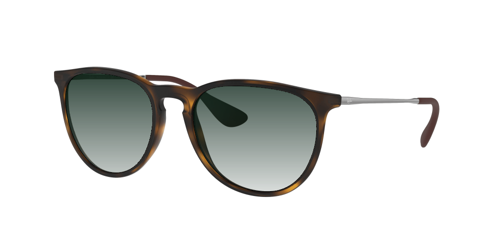 Ray-Ban RB4171 865/13 Erika Ray-Ban RB4171 865/13 Erika