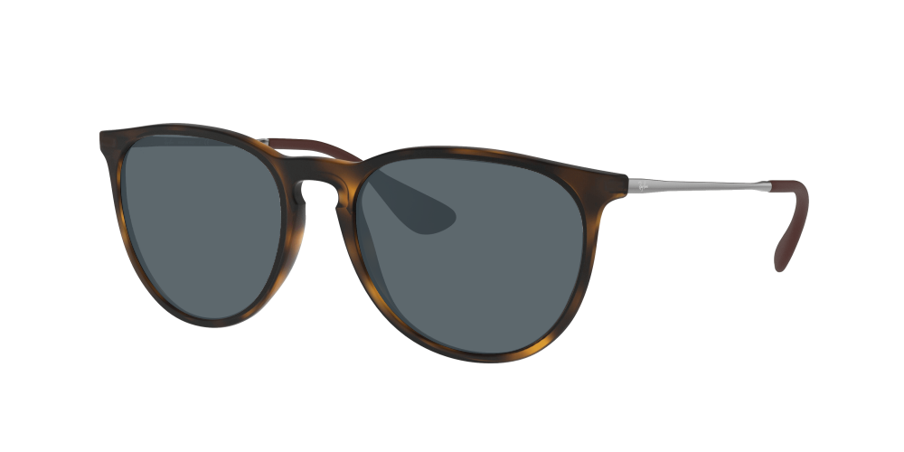 Ray Ban RB4171 865/13 Erika Ray Ban RB4171 865/13 Erika