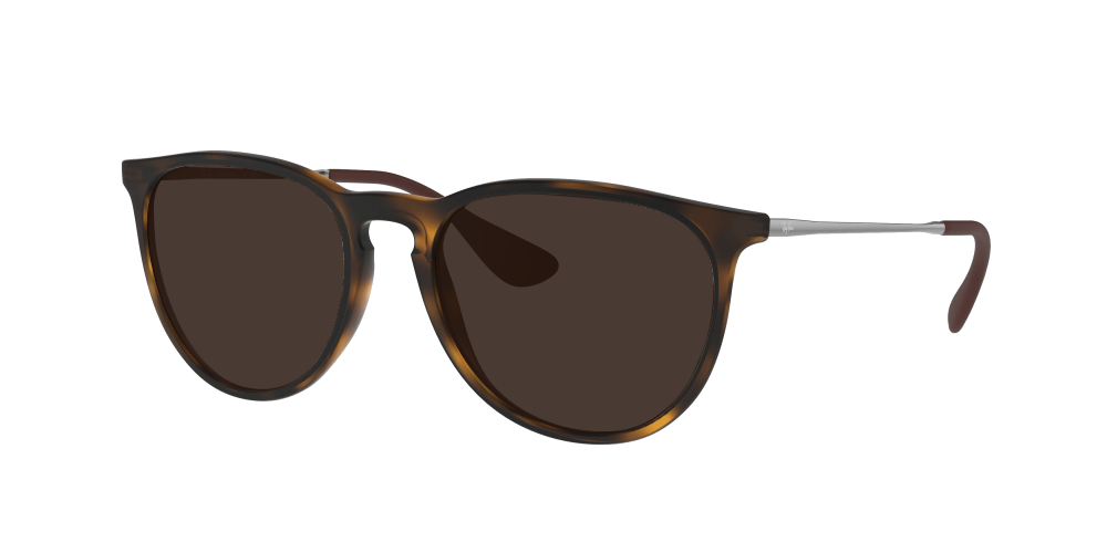 Ray Ban RB4171 865/13 Erika Ray Ban RB4171 865/13 Erika