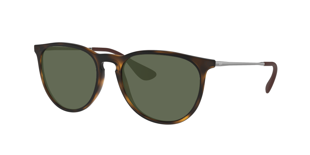 Ray Ban RB4171 865/13 Erika Ray Ban RB4171 865/13 Erika