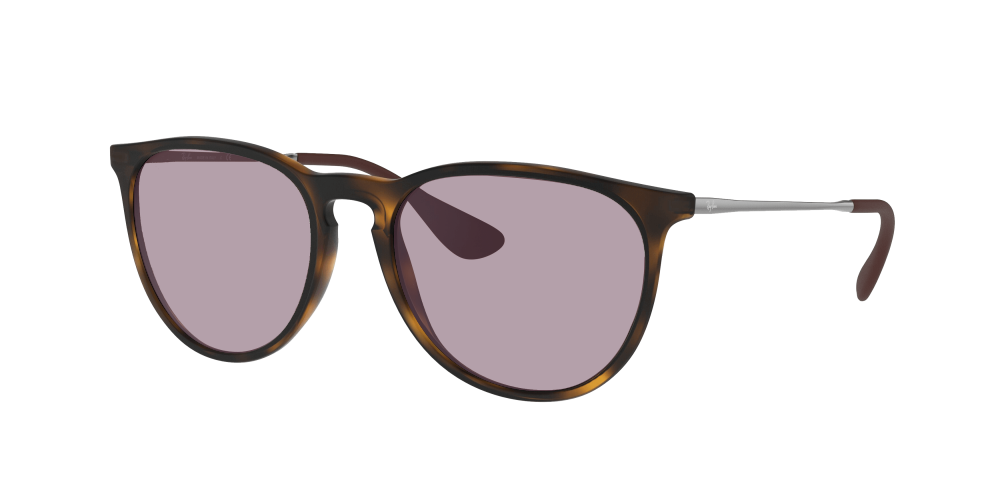 Ray Ban RB4171 865/13 Erika Ray Ban RB4171 865/13 Erika