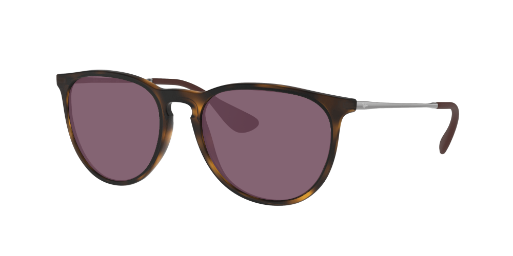 Ray Ban RB4171 865/13 Erika Ray Ban RB4171 865/13 Erika