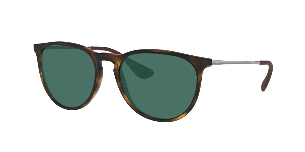 Ray Ban RB4171 865/13 Erika Ray Ban RB4171 865/13 Erika