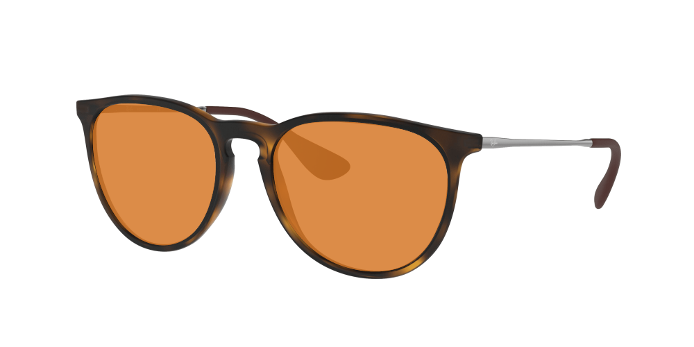 Ray-Ban RB4171 865/13 Erika Ray-Ban RB4171 865/13 Erika
