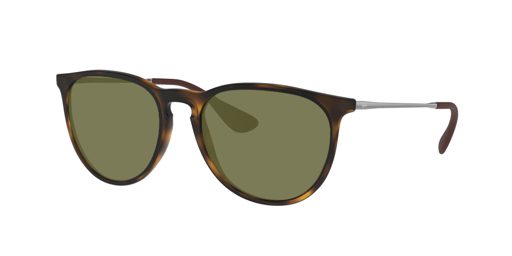 Ray Ban RB4171 865/13 Erika Ray Ban RB4171 865/13 Erika