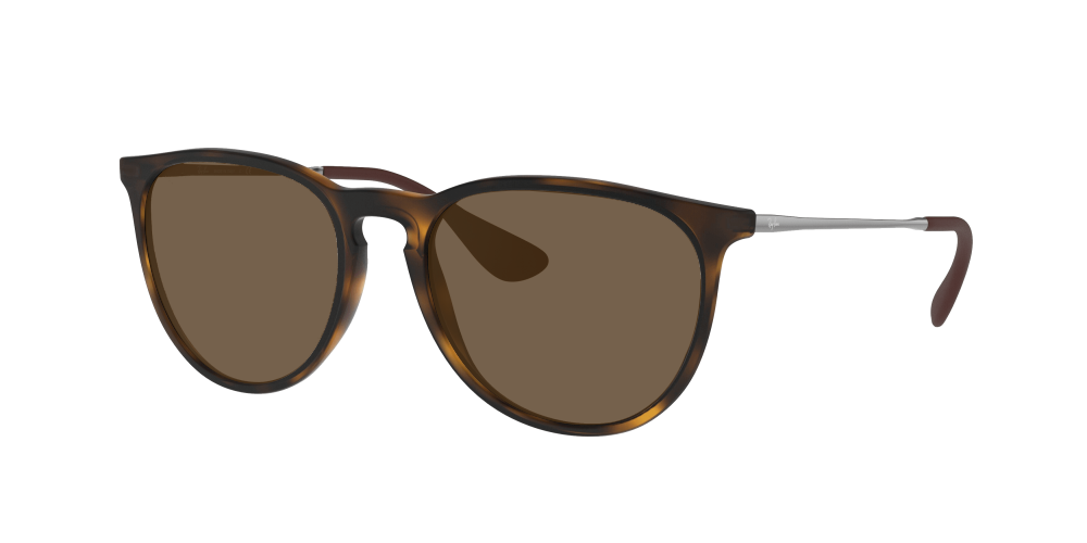 Ray Ban RB4171 865/13 Erika Ray Ban RB4171 865/13 Erika