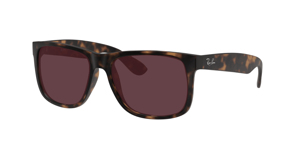 Ray Ban RB4165 865/T5 Justin Ray Ban RB4165 865/T5 Justin