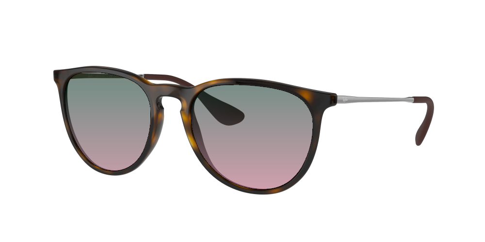 Ray-Ban RB4171 710/T5 Erika Ray-Ban RB4171 710/T5 Erika