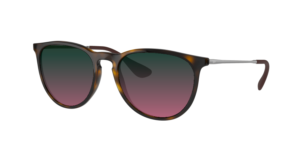 Ray Ban RB4171 710/T5 Erika Ray Ban RB4171 710/T5 Erika