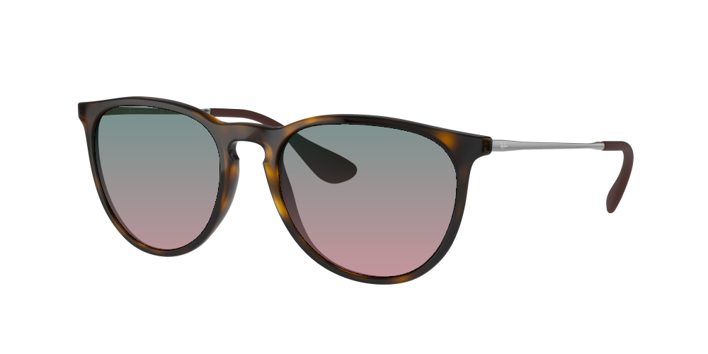 Ray Ban RB4171 710/T5 Erika Ray Ban RB4171 710/T5 Erika