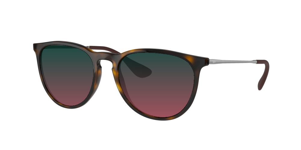 Ray Ban RB4171 710/T5 Erika Ray Ban RB4171 710/T5 Erika