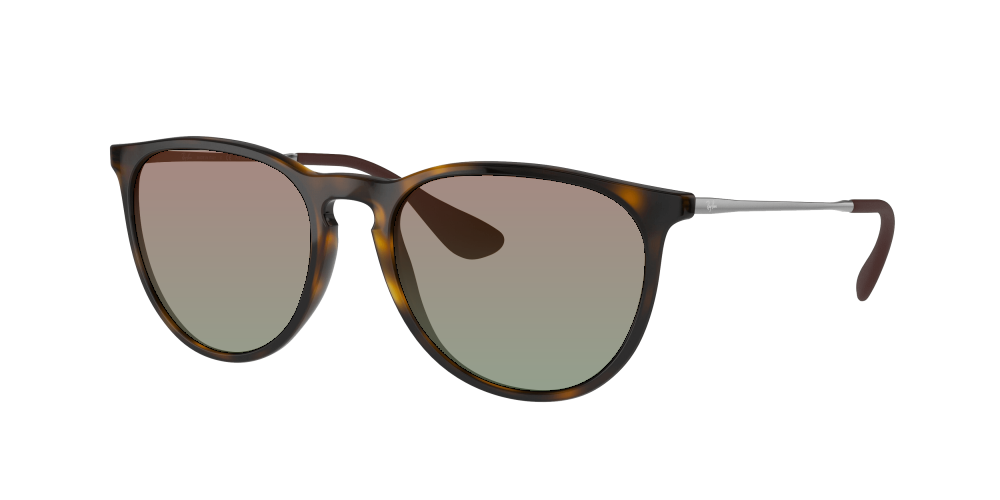 Ray Ban RB4171 710/T5 Erika Ray Ban RB4171 710/T5 Erika