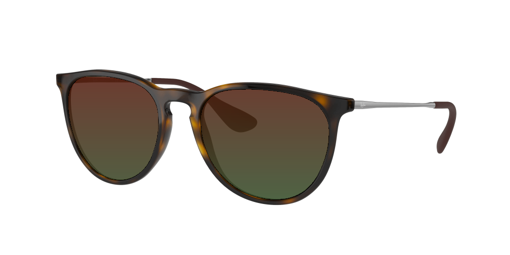 Ray Ban RB4171 710/T5 Erika Ray Ban RB4171 710/T5 Erika