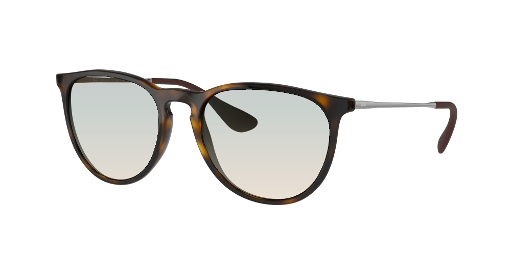 Ray Ban RB4171 710/T5 Erika Ray Ban RB4171 710/T5 Erika