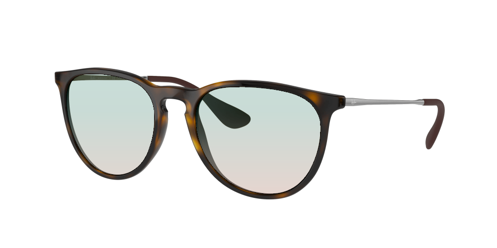 Ray Ban RB4171 710/T5 Erika Ray Ban RB4171 710/T5 Erika
