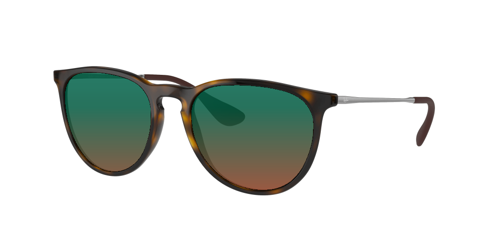 Ray Ban RB4171 710/T5 Erika Ray Ban RB4171 710/T5 Erika